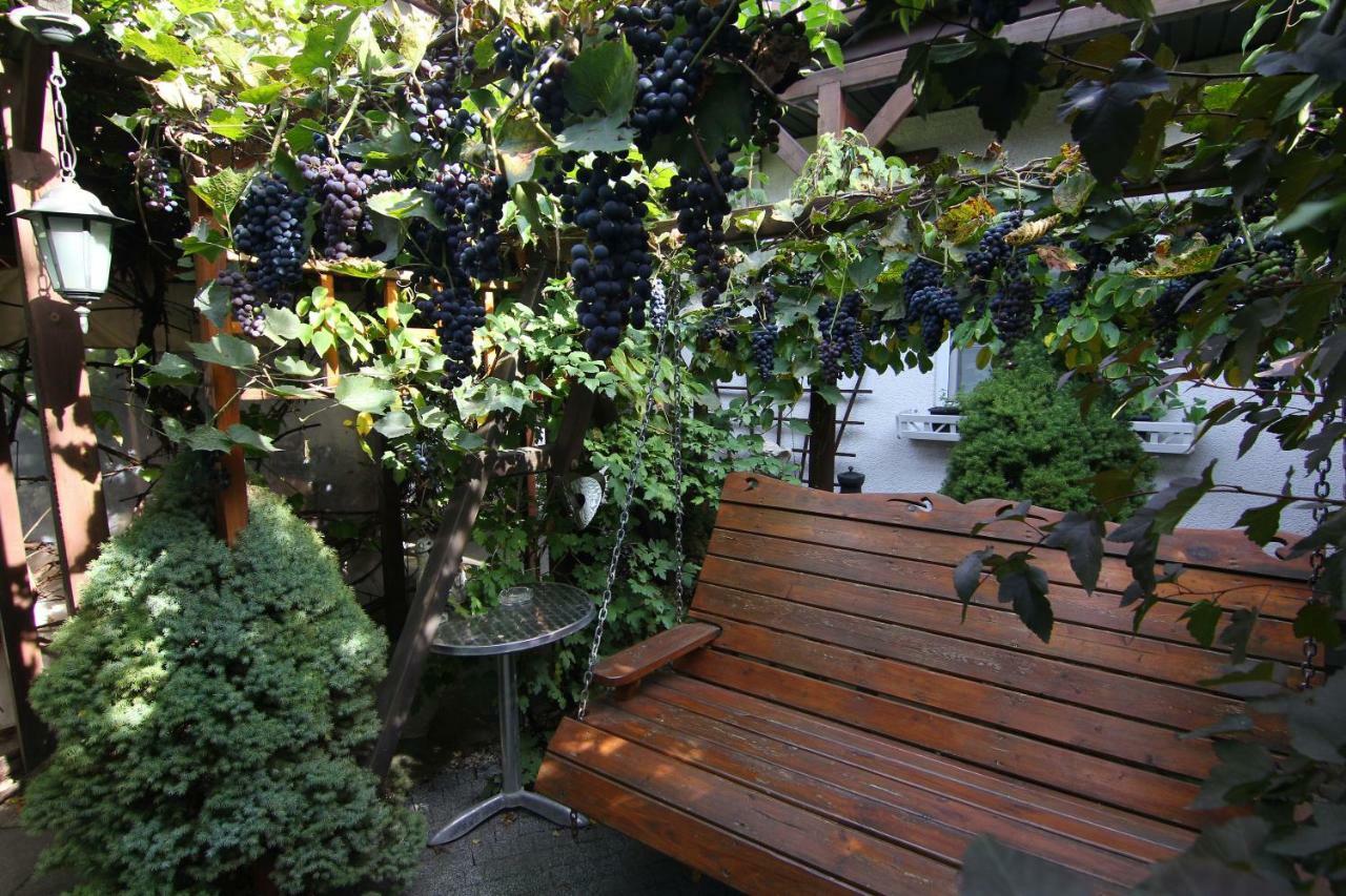 Apartamenty Pod Wiciokrzewem Supraśl المظهر الخارجي الصورة